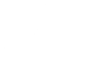 International Ski and Snowboard Federation logo